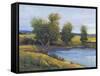 Tree's Reflection II-Tim O'toole-Framed Stretched Canvas