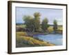 Tree's Reflection II-Tim O'toole-Framed Art Print