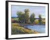 Tree's Reflection II-Tim O'toole-Framed Art Print