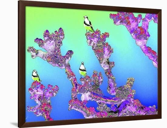 Tree Seagulls-Tom Kelly-Framed Giclee Print