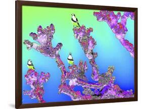 Tree Seagulls-Tom Kelly-Framed Giclee Print