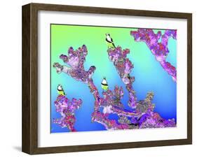 Tree Seagulls-Tom Kelly-Framed Giclee Print