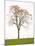 Tree Seasons III-Bill Coleman-Mounted Giclee Print