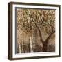 Tree Shade-Tim O'toole-Framed Giclee Print