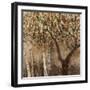 Tree Shade-Tim O'toole-Framed Giclee Print