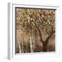 Tree Shade-Tim O'toole-Framed Giclee Print