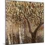 Tree Shade-Tim O'toole-Mounted Giclee Print