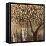 Tree Shade-Tim O'toole-Framed Stretched Canvas