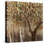 Tree Shade-Tim O'toole-Stretched Canvas