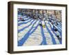 Tree Shadows, Morzine-Andrew Macara-Framed Giclee Print