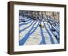 Tree Shadows, Morzine-Andrew Macara-Framed Premium Giclee Print
