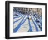 Tree Shadows, Morzine-Andrew Macara-Framed Premium Giclee Print