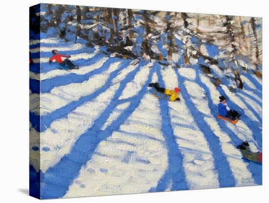 Tree Shadows, Morzine-Andrew Macara-Stretched Canvas