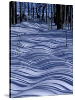 Tree Shadows on Snowy Two Track, Deerton, Michigan, USA-Claudia Adams-Stretched Canvas