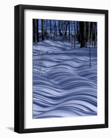 Tree Shadows on Snowy Two Track, Deerton, Michigan, USA-Claudia Adams-Framed Photographic Print