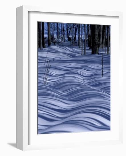 Tree Shadows on Snowy Two Track, Deerton, Michigan, USA-Claudia Adams-Framed Photographic Print