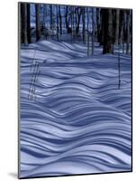Tree Shadows on Snowy Two Track, Deerton, Michigan, USA-Claudia Adams-Mounted Photographic Print