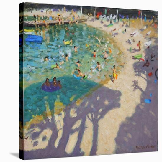 Tree Shadows, on the Beach, Near Rovinj, 2016-Andrew Macara-Stretched Canvas