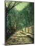 Tree Shadows on the Park Wall, Roundhay, Leeds, 1872-John Atkinson Grimshaw-Mounted Giclee Print