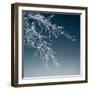 Tree Silhouette I White on Light Blue-David Pollard-Framed Photo