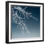 Tree Silhouette I White on Light Blue-David Pollard-Framed Photo