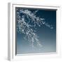 Tree Silhouette I White on Light Blue-David Pollard-Framed Photo