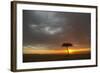 Tree silhouetted in savannah habitat at sunset, Masai Mara, Kenya-David Tipling-Framed Photographic Print