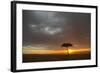 Tree silhouetted in savannah habitat at sunset, Masai Mara, Kenya-David Tipling-Framed Photographic Print