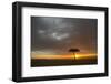 Tree silhouetted in savannah habitat at sunset, Masai Mara, Kenya-David Tipling-Framed Photographic Print