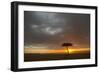 Tree silhouetted in savannah habitat at sunset, Masai Mara, Kenya-David Tipling-Framed Photographic Print