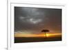 Tree silhouetted in savannah habitat at sunset, Masai Mara, Kenya-David Tipling-Framed Photographic Print