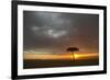 Tree silhouetted in savannah habitat at sunset, Masai Mara, Kenya-David Tipling-Framed Photographic Print