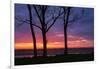 Tree Silhouettes at Sunrise, Maine Coast-Vincent James-Framed Photographic Print