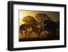 Tree Silhouettes-W. Perry Conway-Framed Photographic Print