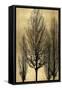 Tree Silhutette on Gold II-Kate Bennett-Framed Stretched Canvas