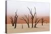 Tree Skeleton-Grobler du Preez-Stretched Canvas