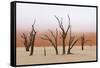 Tree Skeleton-Grobler du Preez-Framed Stretched Canvas
