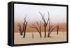 Tree Skeleton-Grobler du Preez-Framed Stretched Canvas