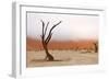 Tree Skeleton-Grobler du Preez-Framed Photographic Print