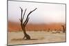 Tree Skeleton-Grobler du Preez-Mounted Photographic Print