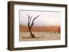 Tree Skeleton-Grobler du Preez-Framed Photographic Print