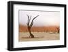 Tree Skeleton-Grobler du Preez-Framed Photographic Print