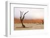 Tree Skeleton-Grobler du Preez-Framed Photographic Print