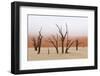 Tree Skeleton-Grobler du Preez-Framed Photographic Print