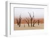 Tree Skeleton-Grobler du Preez-Framed Photographic Print