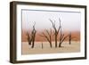 Tree Skeleton-Grobler du Preez-Framed Photographic Print