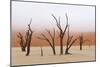 Tree Skeleton-Grobler du Preez-Mounted Photographic Print