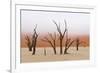 Tree Skeleton-Grobler du Preez-Framed Photographic Print