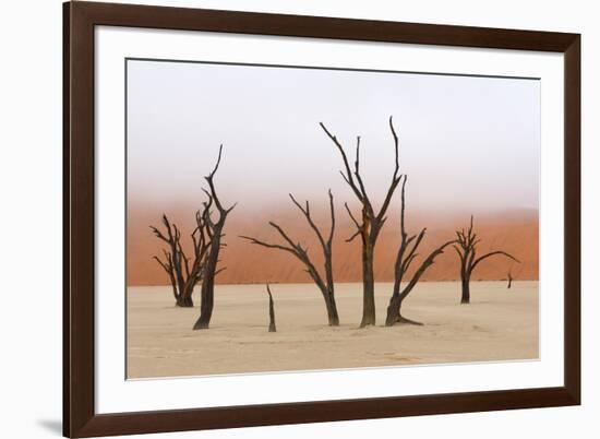 Tree Skeleton-Grobler du Preez-Framed Photographic Print