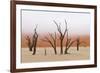 Tree Skeleton-Grobler du Preez-Framed Photographic Print